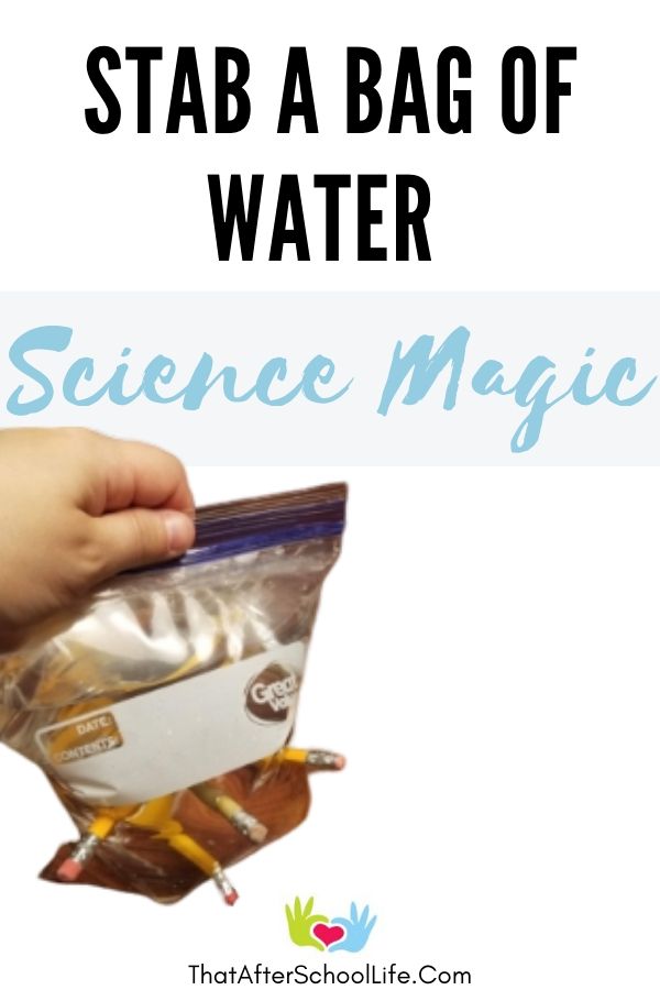 Wow kids with this fun water magic trick that uses supplies you already have on hand. Use a pencil to stab a bag of water without spilling a single drop!