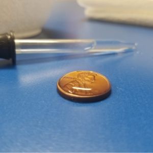 Water Cohesion Activity Drops on a Penny