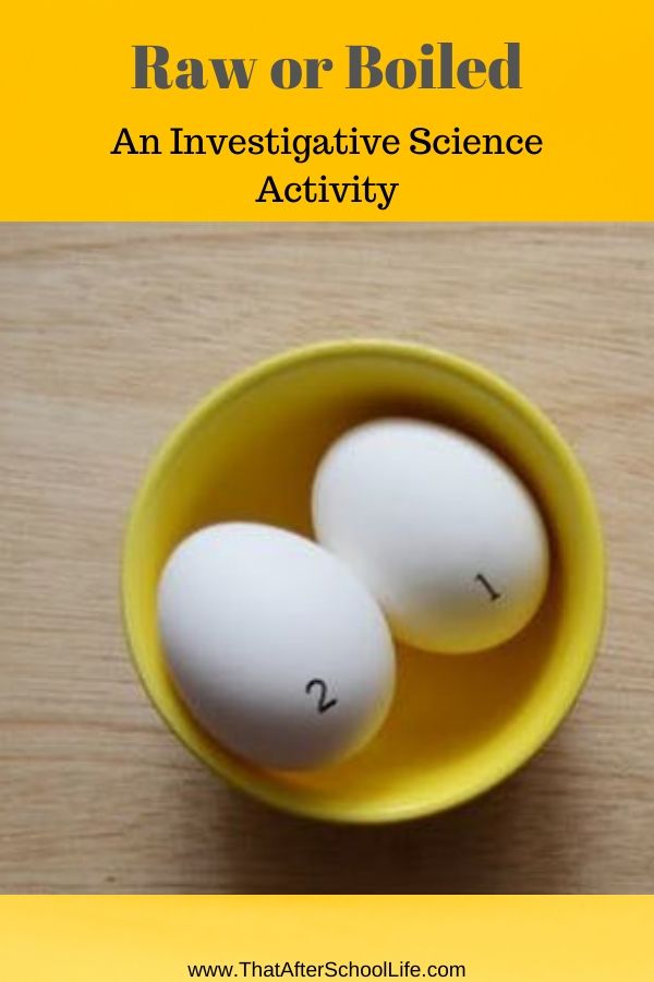 The raw or boiled egg challenge gives children the chance to explore their world use investigative skills to determine if an egg is raw or boiled without cracking the shell.