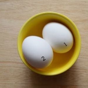Raw or Boiled Egg Challenge