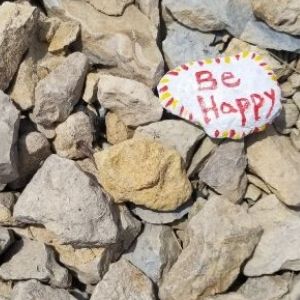 Kindness Rocks; A Service Learning Project