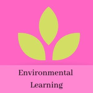 environmental learning activities for kids