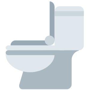 Toilet Tag; A Hilarious Group Game