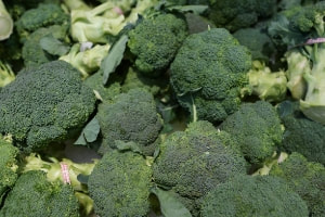 broccoli eating record for kids