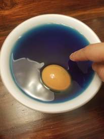 egg in food coloring