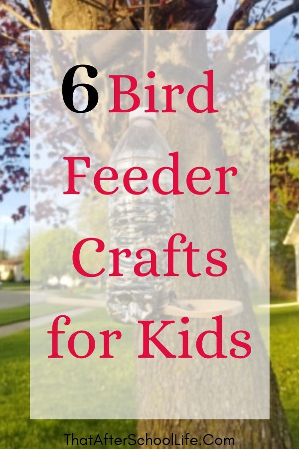 Encourage kids creativity while promoting environmental friendliness.  These 6 bird feeder crafts will get kids excited about nature!