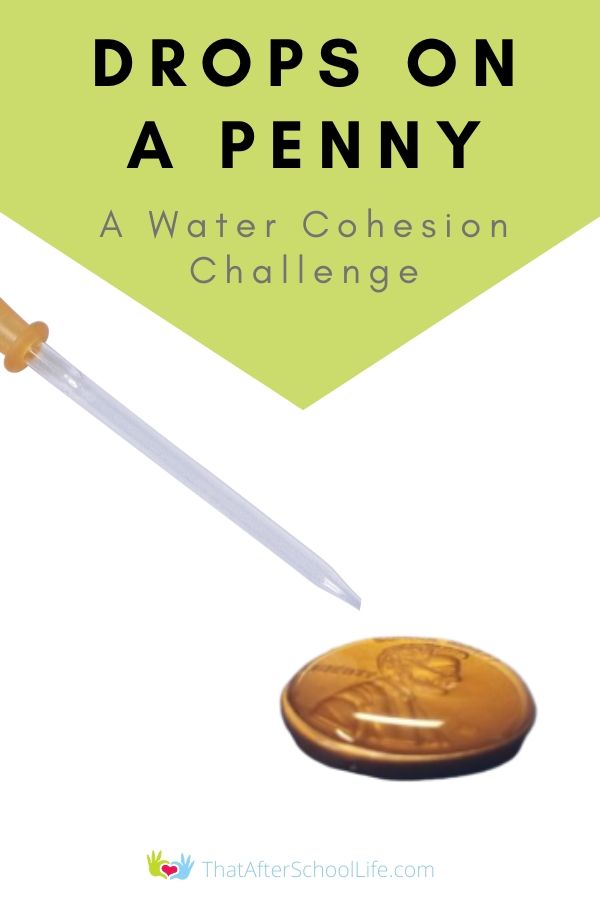 Drops on a penny is a water cohesion activity is a fun STEM activity for school age children. Demonstrate water retention with this challenge for kids.  