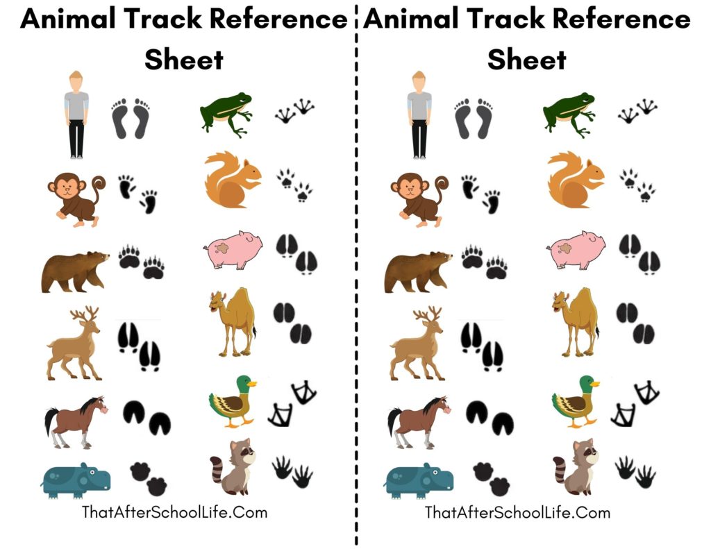 Animal Track Memory Matching Game That After School Life